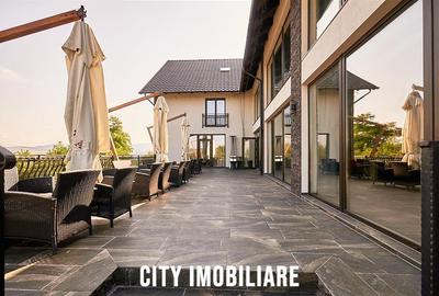 Pensiune la cheie langa partia de schi Toplita, 11 camere, Su-642 mp - 3