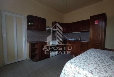 Casa individuala + garaj si anexa, oportunitate investitie, Sagului! - 9