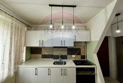 Apartament petfriendly cu 3 camere de închiriat în Baia Sprie - 7