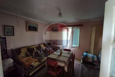 Teren de 900 mp cu cabană rustică, într-o zonă liniștită - 9