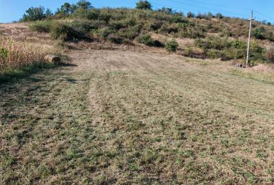 Teren intravilan la Berzasca, pe malul Dunarii, langa complex Egreta - 3