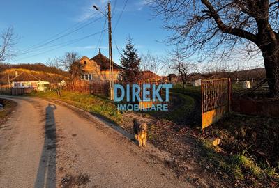 Casă individuală cu 5 camere în Monor