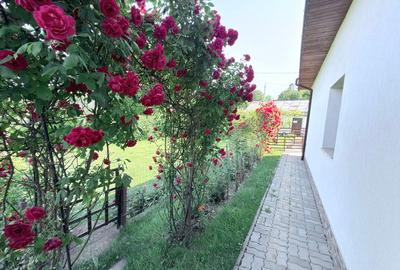 Casa renovata in oras str.Cismelei - 7