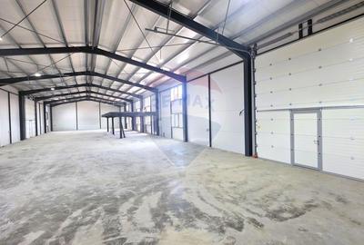Închiriere hală industrială în Feldioara jud Brașov, suprafață 580 mp - 8