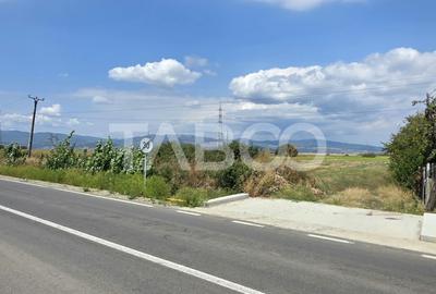 Teren industrial de vanzare pe Drumul vechi al Pianului - 3
