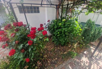 Navodari zona Sud- Vila P+1, 4 camere, Garaj, teren 326mp -260.000euro - 26