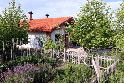 Casa noua cu 6500mp teren si anexe la Hudum - 1