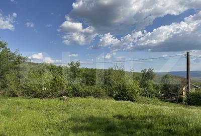 Teren Construcții intravilan de 15080 mp, în Periferie