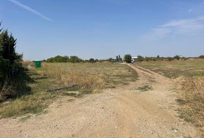 TEREN DE VÂNZARE ÎN OTOPENI – PUTNA/ PUZ APROBAT | DESCHIDERE LA 2 STRĂZI - 3