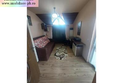 Casa de vanzare - Paulesti - 17