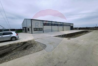 2 Hale industriale noi | 539 mp fiecare |  Moara Vlasiei - 1