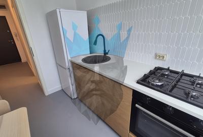 Apartament 2 Camere Camil Ressu Bucuresti - 8