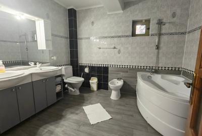 AFACERE LA CHEIE în Șcheia de închiriat - 4