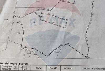 Teren 130000 mp extravilan, faneata si padure, Munteni - Bulz, Negreni - 12