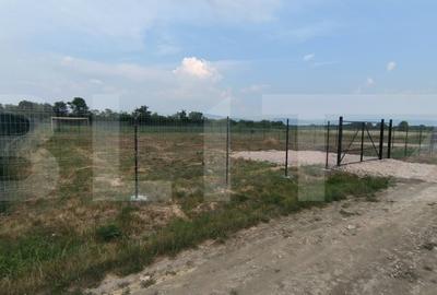 Teren intravilan, 945 mp, zona Vest - Dobolii de Jos - 2