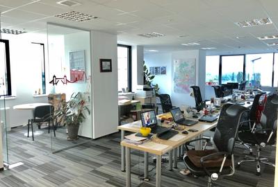 Baneasa Office Space in Cladire Clasa A - 22