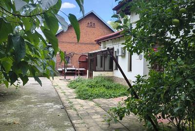 Dobroiesti casa si teren cu deschidere la lac - 6