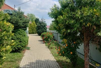 Casa 3 camere la Elek, langa Gyula, Ungaria - 5
