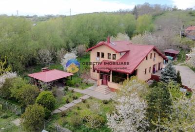 Vilă cu 8.800 mp teren în Gura Văii, la 12 km de Piatra Neamț - 2
