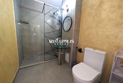 Studio Sanpetru Mobilat Utilat - 4