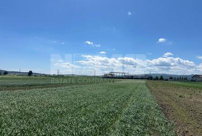 Teren intravilan 27 ari | Horodnic de Sus | Front stradal 13 m - 4