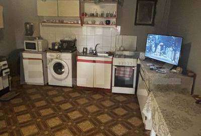 Casă individuală cu 3 camere în Vetiș