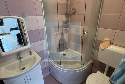 Apartament 3 camere la casa, mobilat/utilat-zona Centrul Istoric - 12