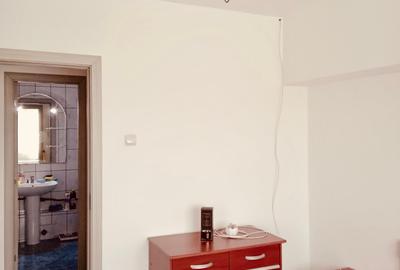 Apartament 2 camere Dristor, 7 minute de metrou, mobilat si utilat modern, liber - 15