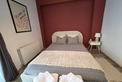 Inchiriere Apartament 2 Camere Iancu Nicolae - 18