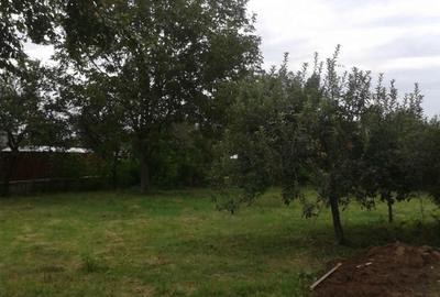 Teren Construcții intravilan de 1720 mp, în 1 Decembrie