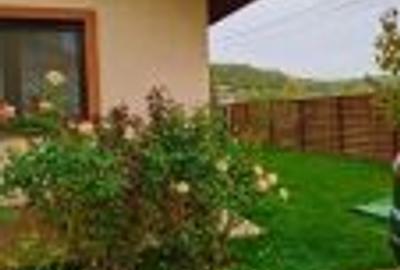 Casa indivduala pe parter - 3 camere -Corbeaca, strada Caisului padure - 2