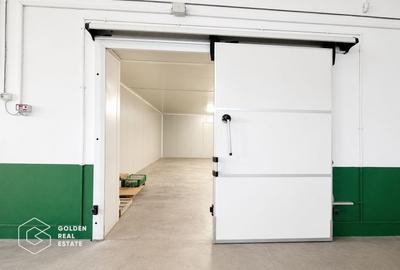 Hala Industriala Premium, Zona de Sud, Timisoara - 3