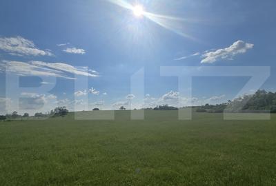 Teren agricol extravilan de 755500 mp, în Lugoj