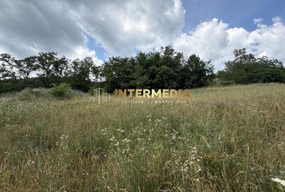 TEREN Intravilan 1257 mp Liziera Pădurii Meteș Platou Cabană la 15 km Alba Iulia - 10