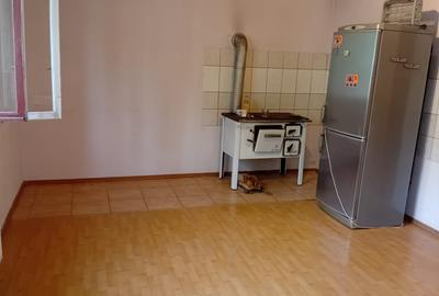 Vanzare Casa in localitatea Bodrogu Nou - 15