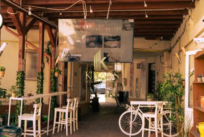 Spatiu comercial 100 mp, 100 mp curte, parter, Horeca, zona Decebal - 4
