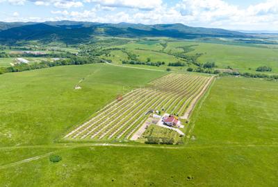 Casă individuală cu 4 camere în Dumbrăvița