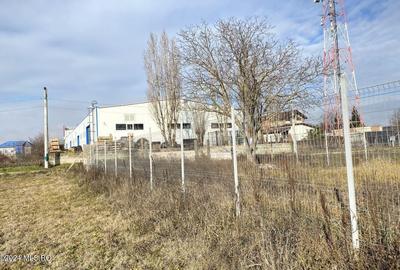 Afumati - Str. Iasomiei, 2409 MP, stradal, intravilan, deschidere 12 m - 19
