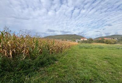 TEREN INTRAVILAN DE VÂNZARE – 2.500 MP – LA 15 KM DE BISTRIȚA - 1