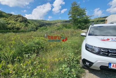 Teren construibil langa padure, apa, gaz, curent, 810mp - 1