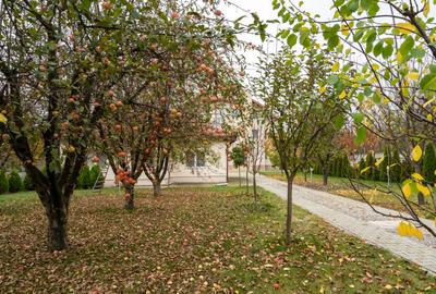 Vilă de excepție în Săftica, Balotești — proprietate cu chiriaș existent - 7