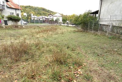 9.000 MP DE LINIȘTE, NATURĂ ȘI OPORTUNITATE – ANINOASA   DOAR 45. - 4