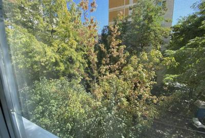 Apartament 3 camere Orășelul Copiilor-Sos. Olteniței vedere str Padesului - 11