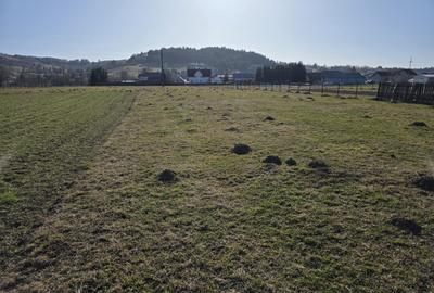 TEREN DE VÂNZARE – ZONA VÂRTEJ, ÎNTORSURA BUZĂULUI - 10