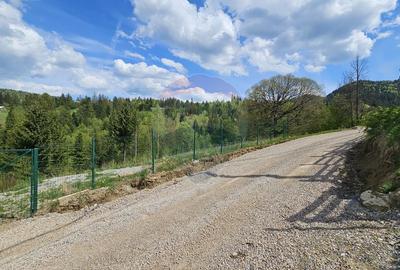 Teren 4048mp Campulung Moldovenesc, Strada Izvorul Alb, Suceava - 14