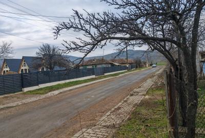 Casă bătrânească + Teren generos 4.208 mp – Cerna, Tulcea (Toate utilitățile) - 6
