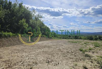 Teren agricol extravilan de 3000 mp, în Exterior Vest