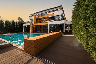 Vila grandioasa, Gradina Japoneza, SPA, Crama, Teren Tenis, Foisor, Iaz Pesti - 4