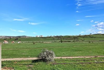 Teren intravilan de 3000 mp, în Sud