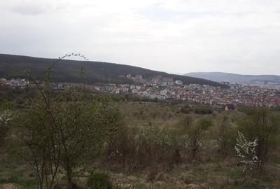 Teren 2533 mp, Cluj-Napoca, Zona Fanata - 3